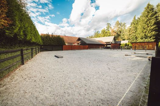 At the horse ranch on a beautiful sunny summer day. Neatly taken care of, beautifully arranges horse ranch somewhere in Slovenia. 