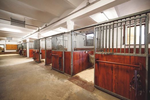 Empty stable, no horses inside the stables. Clean and empty horse boxes with fresh hay at the ranch. 