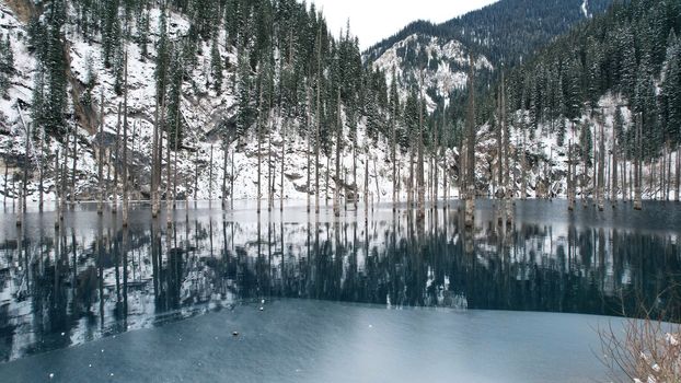 Coniferous tree trunks come out of a mountain lake. Smooth water like a mirror reflects the snowy mountains and the forest. High peaks in the clouds. Kaindy Lake is freezing. Bushes grow on the shore