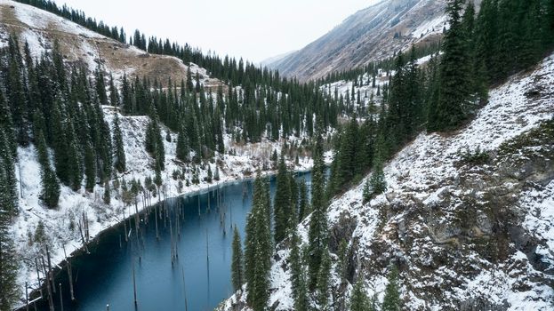 Coniferous tree trunks come out of a mountain lake. Smooth water like a mirror reflects the snowy mountains and the forest. High peaks in the clouds. Kaindy Lake is freezing. Bushes grow on the shore