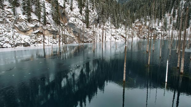 Coniferous tree trunks come out of a mountain lake. Smooth water like a mirror reflects the snowy mountains and the forest. High peaks in the clouds. Kaindy Lake is freezing. Bushes grow on the shore