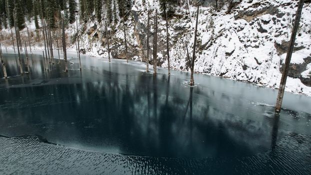 Coniferous tree trunks come out of a mountain lake. Smooth water like a mirror reflects the snowy mountains and the forest. High peaks in the clouds. Kaindy Lake is freezing. Bushes grow on the shore