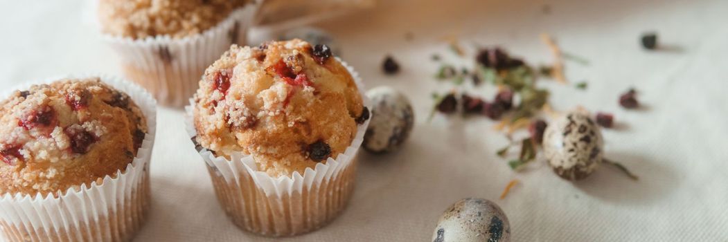 Easter cupcakes with raisins and quail eggs on a white table close-up. The concept of celebrating Happy Easter