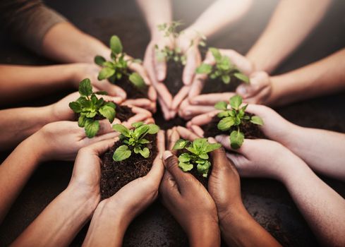 Nature needs to be nurtured. High angle shot of a group of unrecognizable people holding soil and budding plants