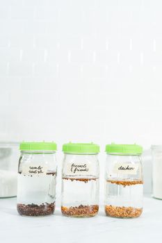 Day 1. Growing organic sprouts in a mason jar with sprouting lid on the kitchen counter.