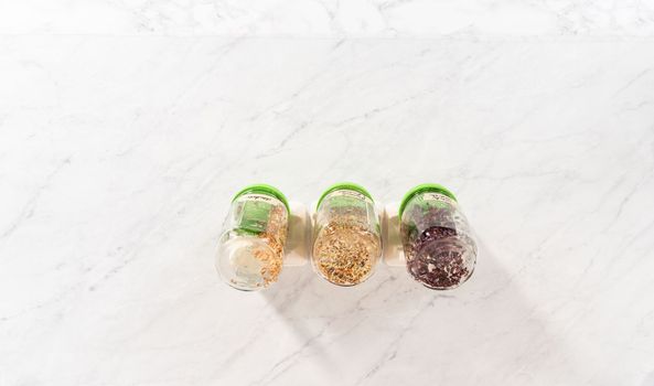 Day 4. Flat lay. Growing organic sprouts in a mason jar with sprouting lid on the kitchen counter.