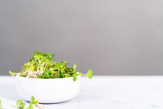 Freshly harvested radish microgreens in a bowl.