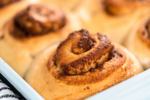 Freshly baked cinnamon rolls in a blue baking pan.