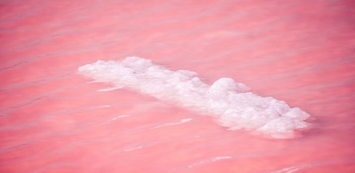 Salt mining. Salty pink lake with crystals of salt. Extremely salty pink lake, colored by microalgae with crystalline salt depositions