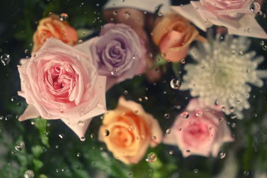 Plenty roses and white chrysanthemums under transparent glass with condensation drops texture.Floral botanical wallpaper.