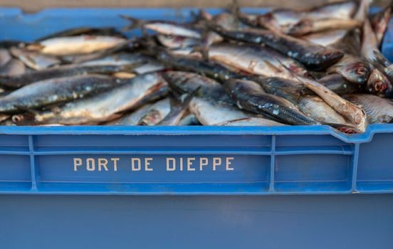 Raw herring in a blue box on the market