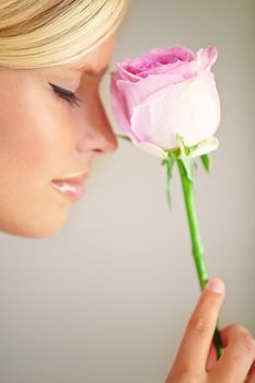 Flower, romance and woman in a studio with a rose for a fragrance, scent or aroma to smell. Floral, cosmetic and female model from Australia with a natural beauty makeup routine by a gray background