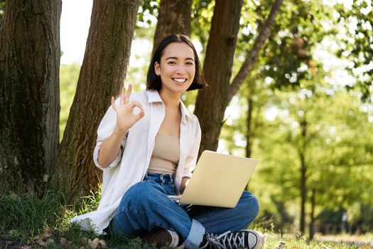 Portrait of asian young woman, student doing homework, working in park, sitting beside tree with laptop and showing okay sign, approve smth.