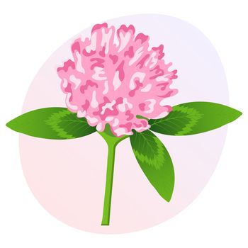 Clover flower with leaves on a gentle background. Postcard, botanical illustration