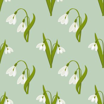 Seamless pattern, delicate flowers of snowdrops on a light green background. Spring background, textile, print, vector