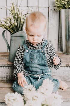 Girl 1 year old. sits holding a white hyacinth with a bulb in her hands, she is dressed in a plaid shirt and denim overalls on a wooden background with green plants in pots