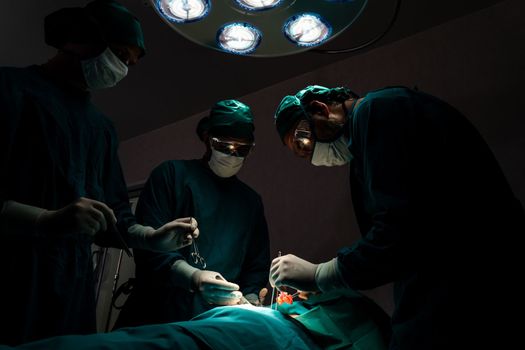 Surgical team performing surgery to patient in sterile operating room. In a surgery room lit by a lamp, a professional and confident surgical team provides medical care to an unconscious patient.
