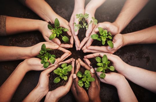 Planet earth is our responsibility. High angle shot of a group of unrecognizable people holding soil and budding plants