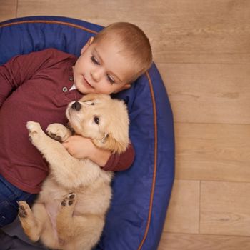The best friend you can get. An adorable little boy with his puppy at home