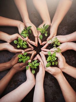 Lets go green together. High angle shot of a group of unrecognizable people holding soil and budding plants
