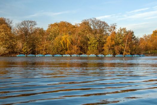 Calm lake surface, only small waves, row of blue boats, seagulls sitting on them, autumn coloured trees and sky in background.
