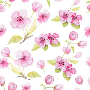 Floral watercolor spring painting for postcard design and decoration semless pattern. Pink flowers on white background in aquarelle drawing