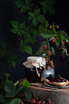 still life with a jar of blackberry jam and bruschettas with soft cheese and berries, decorated with a branch with green leaves, High quality photo