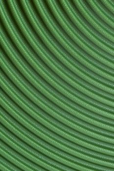 abstract curved different nuances of green color background