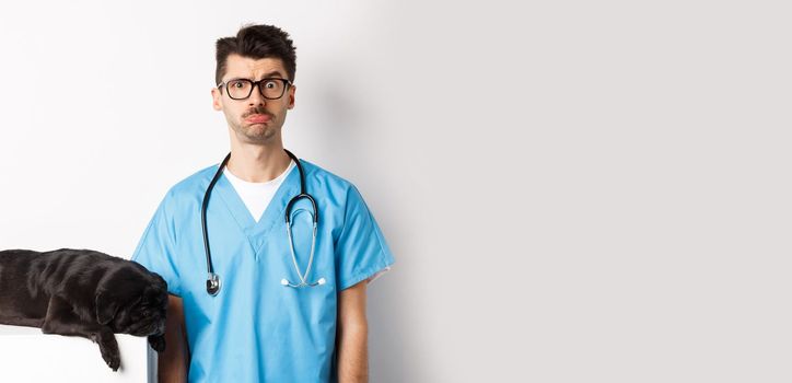 Tired black dog pug lying near handsome male doctor at veterinary clinic, veterinarian staring confused at camera, standing over white background.