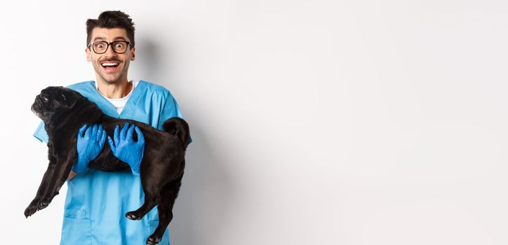 Vet clinic concept. Happy male doctor veterinarian holding cute black pug dog, smiling at camera, white background.