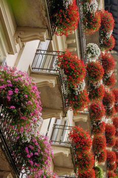 Apartment or hotel with geranium pots on the balconys