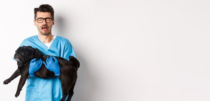 Vet clinic concept. Sad veterinarian holding black pug dog and crying, sobbing with miserable face, standing over white background.