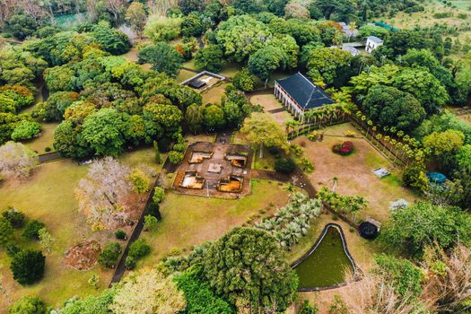 Botanical garden on the Paradise island of Mauritius. Mauritius island in the Indian ocean.