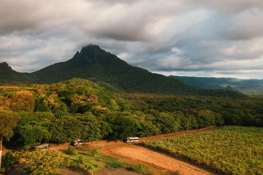 Bird's-eye view of the beautiful fields of the island of Mauritius and the mountains, Casella Park.