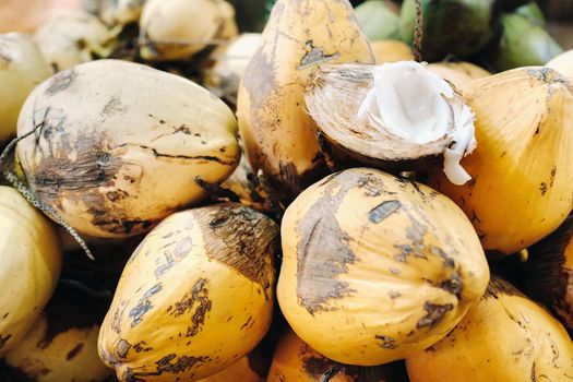 Yellow coconuts are sold in the market of the island of Mauritius. Cut a young coconut with Makoto. Many coconuts on the market.