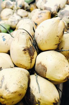 Yellow coconuts are sold in the market of the island of Mauritius. Sale of vegetarian fruits in the open air. Many coconuts on the market.