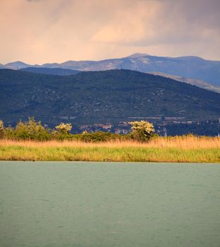 Nature reserve of the Isonzo river mouth