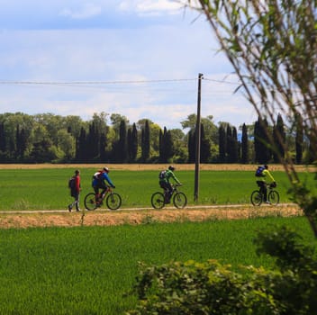 GRADO, ITALY - APRIL, 25: Cyclists riding in the Nature reserve of the Isonzo river mouth on April 25, 2016