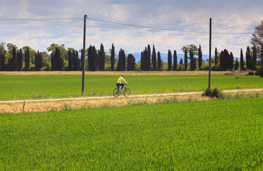 GRADO, ITALY - APRIL, 25: Cyclists riding in the Nature reserve of the Isonzo river mouth on April 25, 2016
