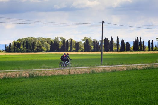 GRADO, ITALY - APRIL, 25: Cyclists riding in the Nature reserve of the Isonzo river mouth on April 25, 2016