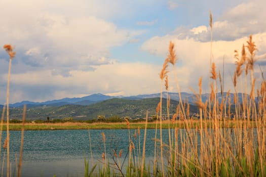 GRADO, ITALY - APRIL, 25: Nature reserve of the Isonzo river mouth on April 25, 2016