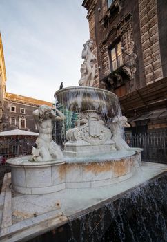 The fountain of Amenano in the city of Catania