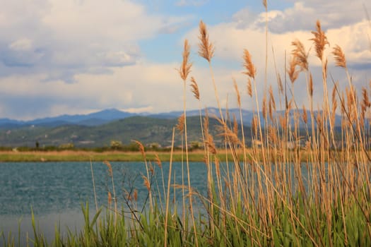 GRADO, ITALY - APRIL, 25: Nature reserve of the Isonzo river mouth on April 25, 2016