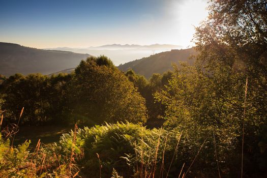 View of Galicia landscape along the way of St. James