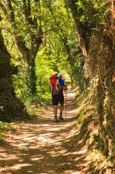 GALICIA, SPAIN - AUGUST, 10: Pilgrim along the way of St. James on 10, 2016