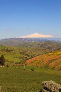 View of Etna volcano and Sicily field