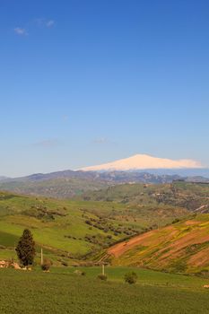 View of Etna volcano and Sicily field