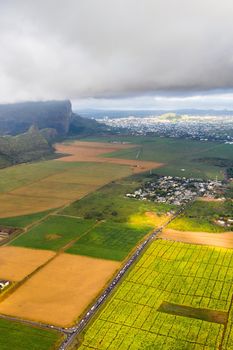 View from the height of the sown fields located on the island of Mauritius.