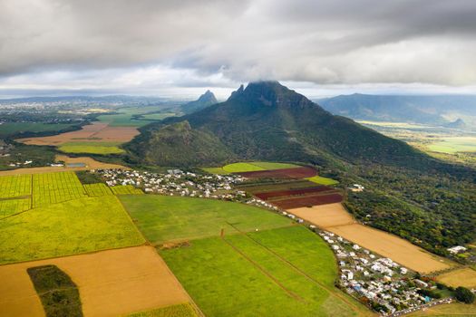View from the height of the sown fields located on the island of Mauritius.