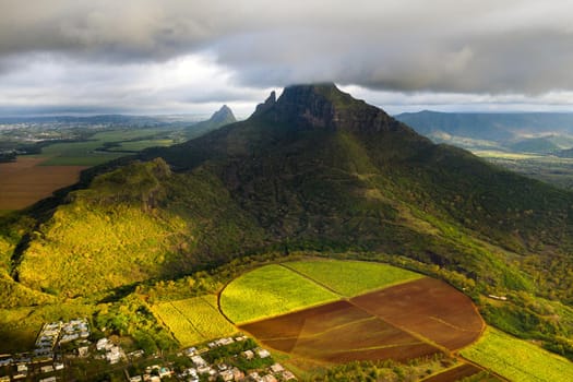View from the height of the sown fields located on the island of Mauritius.